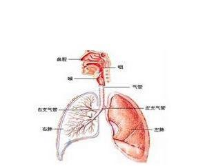 急性羰基鎳中毒