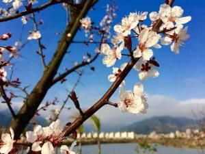 福建商學院