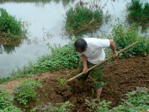 反映村民生產勞動