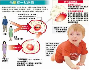 基因改造人