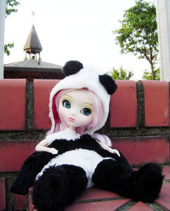 pullip