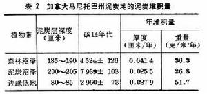 沼澤生態