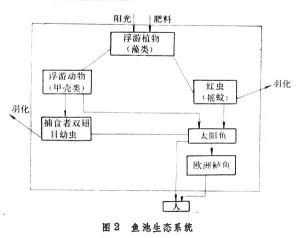 生態系統的系統分析