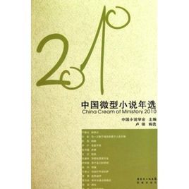 2010年中國微型小說年選