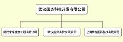 武漢國灸科技開發有限公司