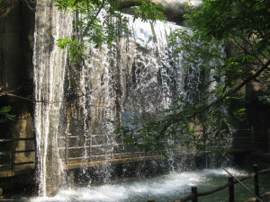 青島嶗山百雀林生態園