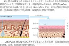 不同階段