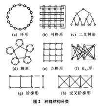 種群結構分類