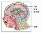 中醫頭痛診療中心