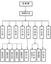 大力集團組織構架