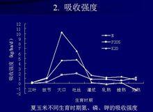 夏玉米不同時期對氮磷鉀的吸收強度