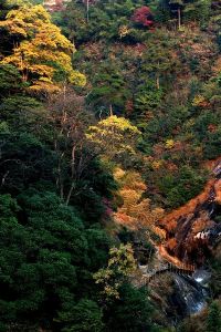 汪湖生態旅遊區