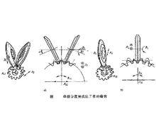 單齒分度展成法