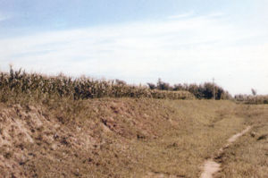 三河—平谷地震遺蹟