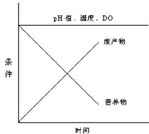 分批式培養