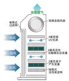 淨化