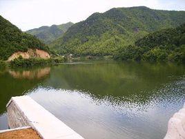 東山村[雲南省德宏盈江縣舊城鎮下轄村]