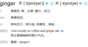 ginger[單詞]