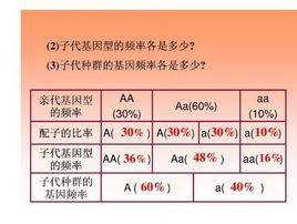 基因型頻率