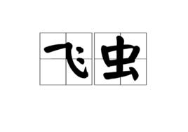 飛蟲[詞語]