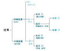 請停止無效努力：如何用正確的方法快速進階