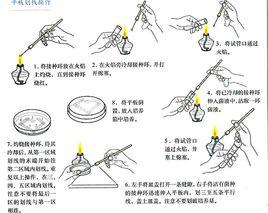 菌種活化