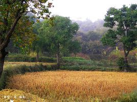 孟家塬村