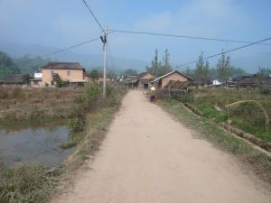 進村道路