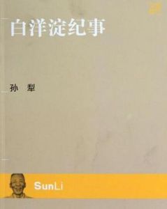 白洋淀紀事[2010年中國青年出版社出版圖書]