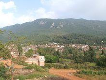 和合村[雲南省昆明市石林縣圭山鎮下轄村]