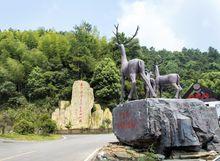 黑麋峰森林公園