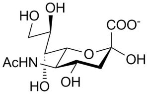 神經氨酸酶抑制劑