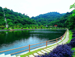 休閒勝地鴕鳥山莊