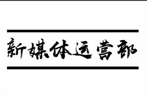 廣東財經大學華商學院大學生職業發展協會