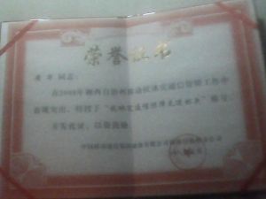 2008年湘西移動抗冰災通信保障先進標兵