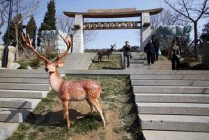 劉公島國家森林公園