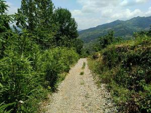 目前通社道路狀況