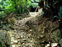 青水溝自然村村內道路