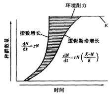 圖2  種群增長模型