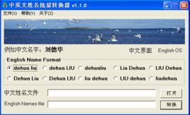 中英文姓名批量轉換器