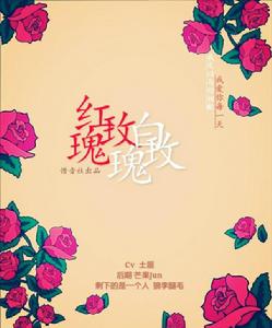 合併圖冊