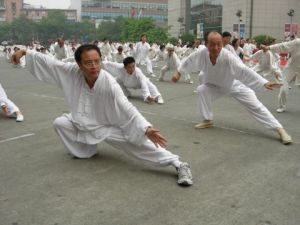 武式太極拳推手