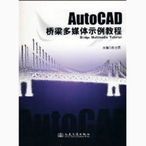 AUTOCAD橋樑多媒體實例教程