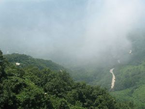 柳州花果山