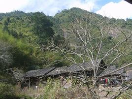 上宅村[福建省尤溪縣台溪鄉下轄村]