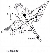 天鵝星座圖示