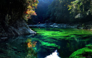 銅鈴山國家森林公園