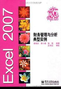 Excel2007財務管理與分析典型實例