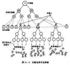 純系學說