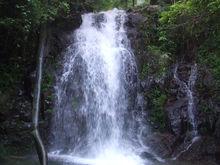 湖南千家峒國家森林公園